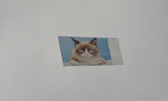 grumpy_cat_sxsw_2015-thumb