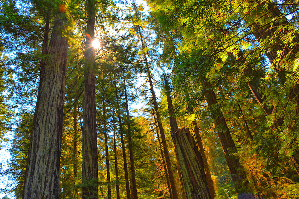 15499235155_ee78ac0056_k