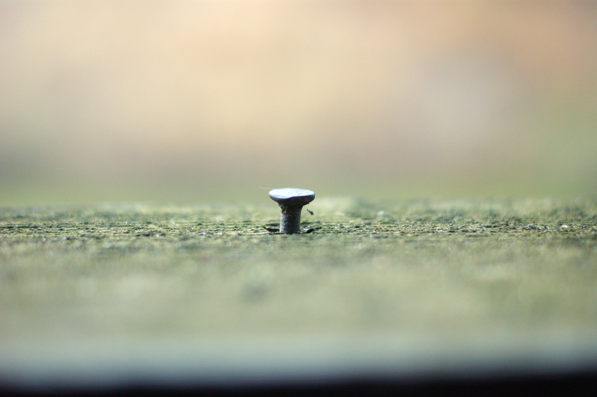 15718092068_640ce695e0_k