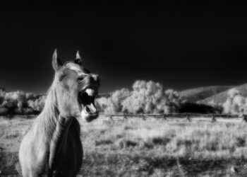 4 Ways to Create a Winning Startup Idea