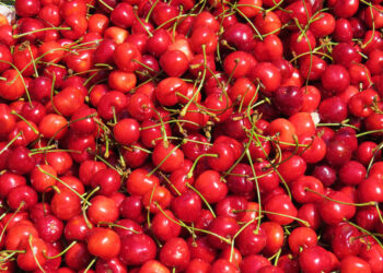 Stop Cherry Coating Your True Opinion