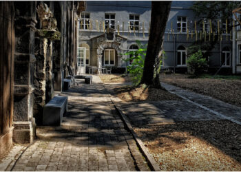 Why a Positive Online Reputation for Your Startup Business Is Critical to Its Success