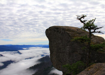 Is Hunters vs. Farmers Still Relevant for Sales?