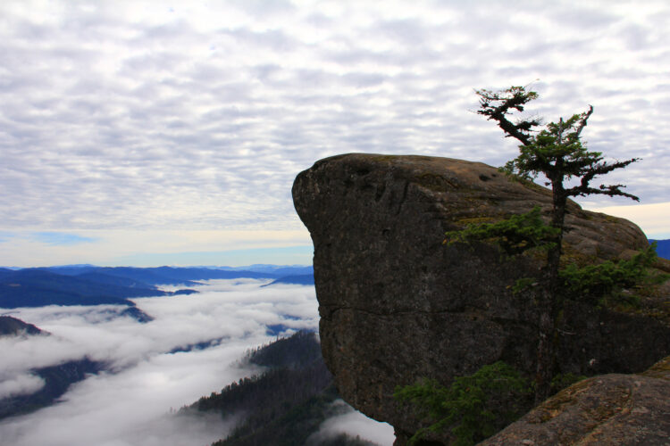 Is Hunters vs. Farmers Still Relevant for Sales?