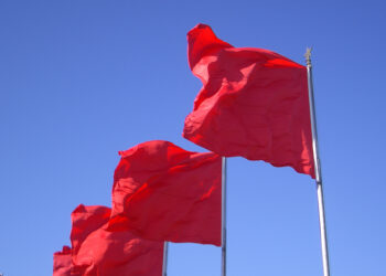 Key Red Flags for Startup Investors