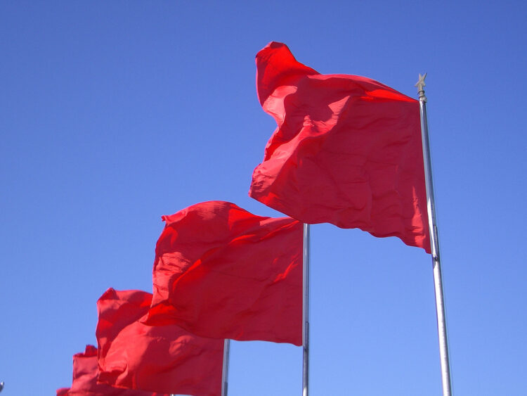 Key Red Flags for Startup Investors