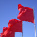 Key Red Flags for Startup Investors