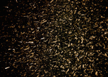 Is Social Trading a Scam or a Gold Mine?