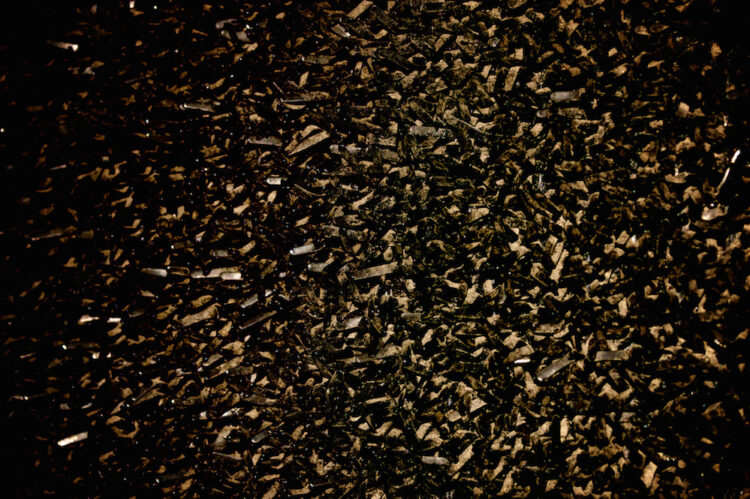 Is Social Trading a Scam or a Gold Mine?