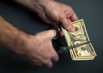 Should Entrepreneurs Grow Revenue or User Count?