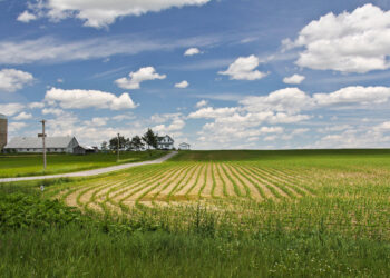 5 Ways to Create a Culture of Innovation