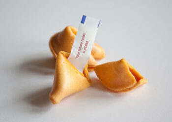 Tips From Successful Startups