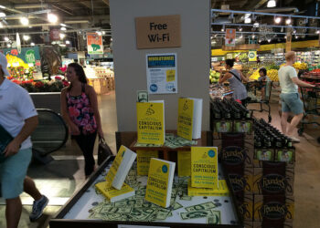 Do We Really Need an Alternative Form of Capitalism?