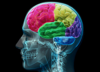 The Psychogenic Needs of Social Media