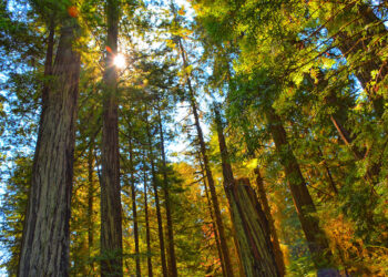 4 Tips to Driving Big Growth Without Losing Your Sanity