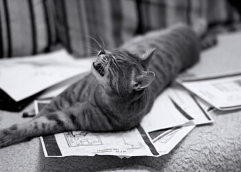 Hire for Today: 3 Stages That Determine Your Dream Engineer