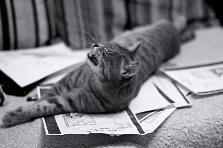 Hire for Today: 3 Stages That Determine Your Dream Engineer