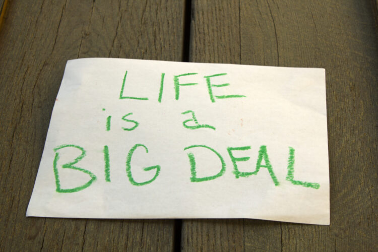 How to Land Big-Name Contracts Regardless of Your Company Size