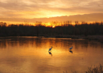 6 Ways Entrepreneurs Can Start and Stay Positive All Day