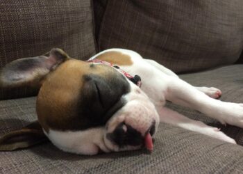 How to Beat the Afternoon Slump