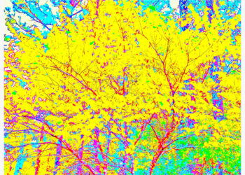 Is Innovation Becoming More Difficult in a Saturated Tech Arena?