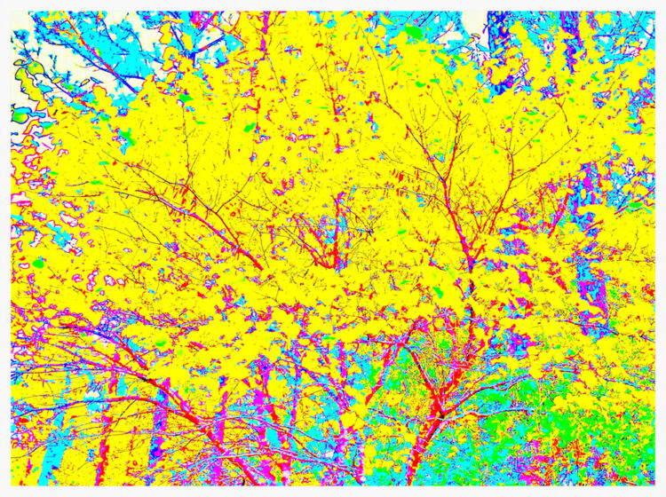 Is Innovation Becoming More Difficult in a Saturated Tech Arena?