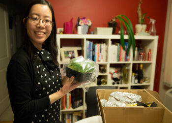 Should Your Startup Actually be a Small Business?