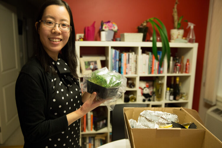 Should Your Startup Actually be a Small Business?