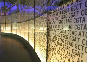 Is Entrepreneurship Learned, or Wired Into Your DNA?
