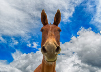 Finding True Workplace Happiness: The 70% Rule