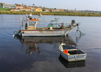 Who is in Charge at Your Startup?