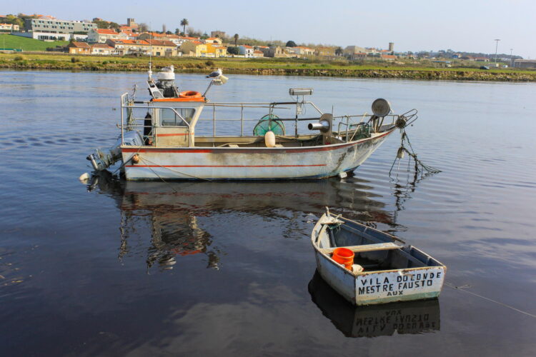 Who is in Charge at Your Startup?