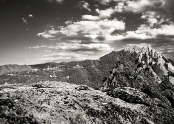 8 Ways to Tell If Your Startup Is Ready to Innovate