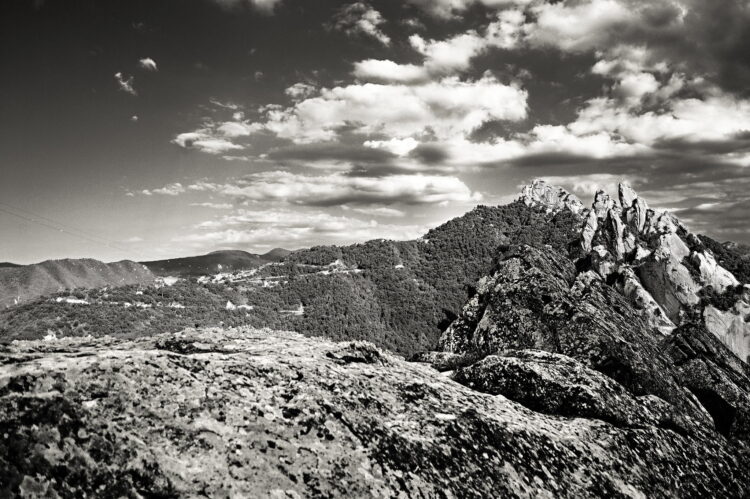 8 Ways to Tell If Your Startup Is Ready to Innovate