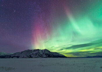 8 Things That Make Investors Cringe