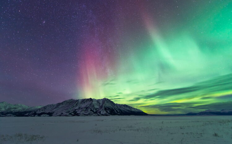 8 Things That Make Investors Cringe