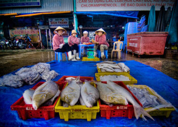 6 Marketing 101 Tips For Technology Entrepreneurs