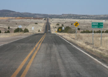 Fast Route to a Partner Meeting is a Route to a No