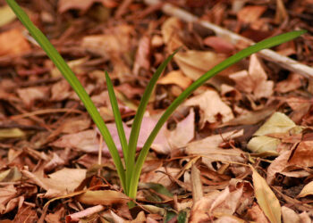 10 Innovative New Global Ways To Grow Your Business