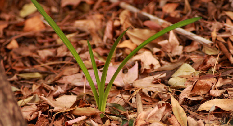 10 Innovative New Global Ways To Grow Your Business