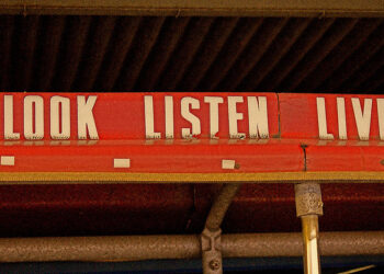 The 3 Most Important Lessons I’ve Learned From Starting Up