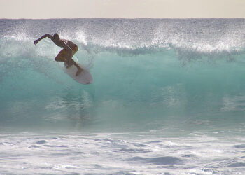 Learn to Ride the Wave: Surf Lessons for Startups