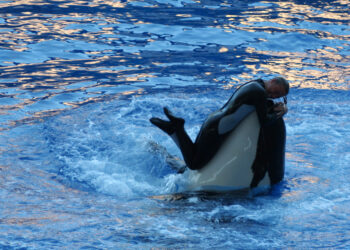 Sales for Startups – Tips and Pitfalls with Warm Intros