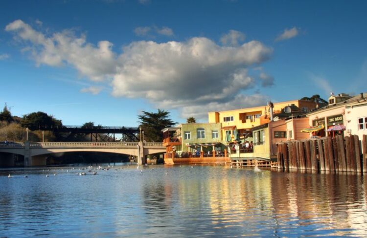 Enjoy The Journey So That You’re Not DEAD On The Way There