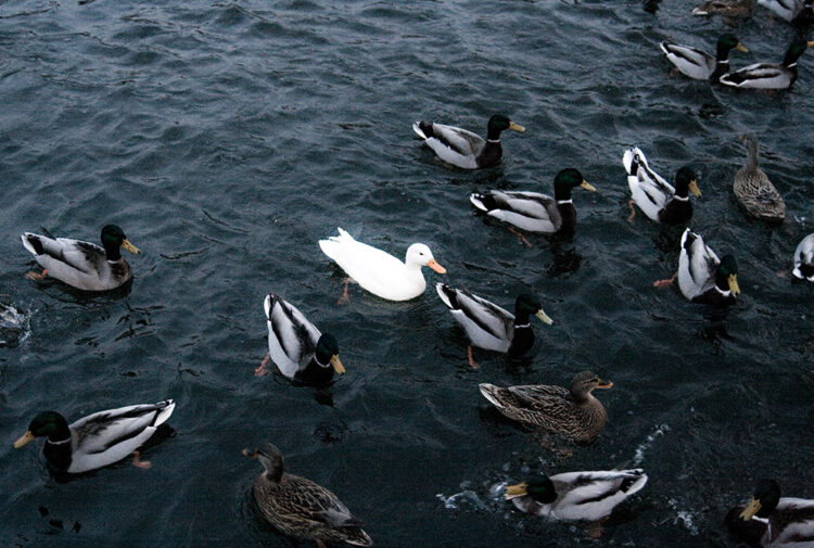 Every New Business Needs A Unique Selling Proposition