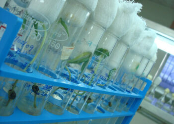 How To Start Up In Biotech