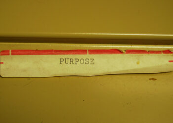 More Entrepreneurs are Seeking Purpose in Business