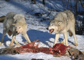 The Culture of Killing It Could Be Killing Us