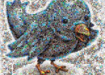 What Is Wrong with Buying Followers?