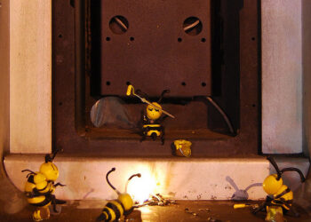 Are Accelerators Just Paid Introductions in Disguise?